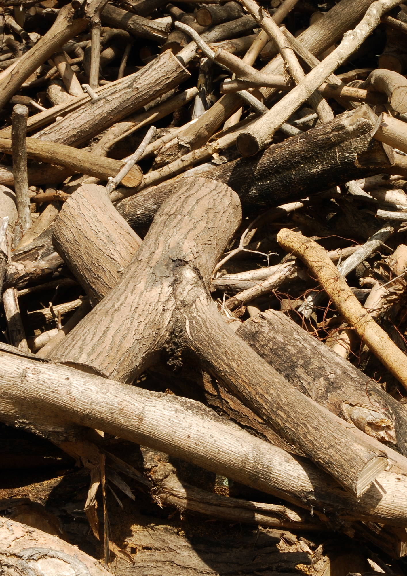 Guilbaud_Environnement_Compost_Déchets_Bois