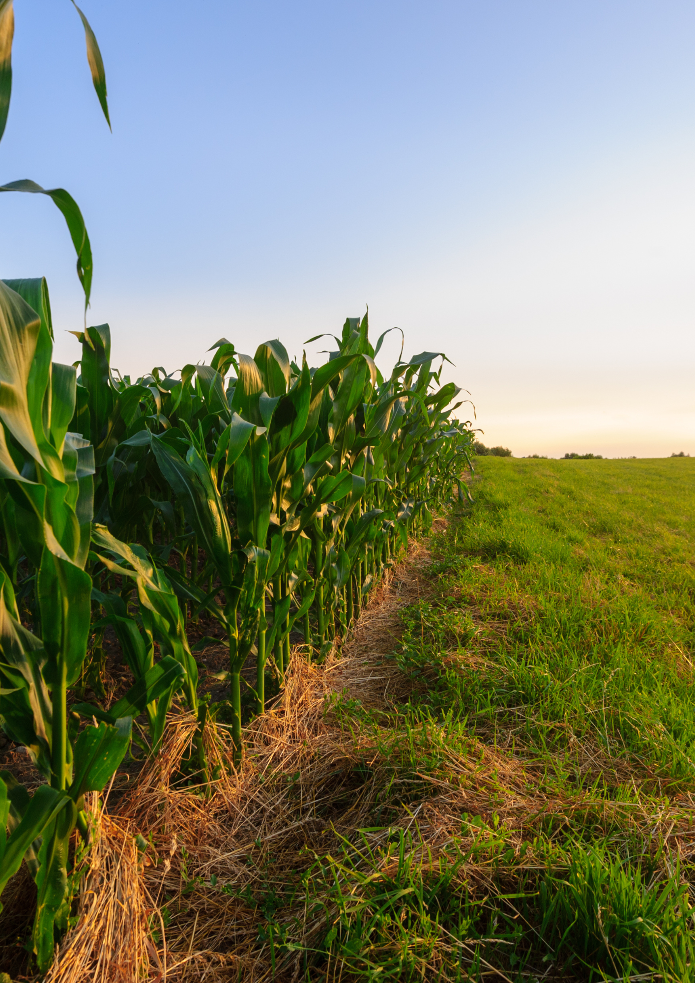 Guilbaud_Environnement_Compost_Grandes_Cultures